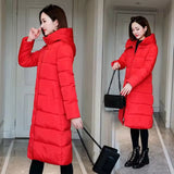 Women's Cotton-Padded Knee-Length Winter Coat